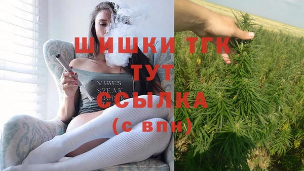 бошки Бронницы
