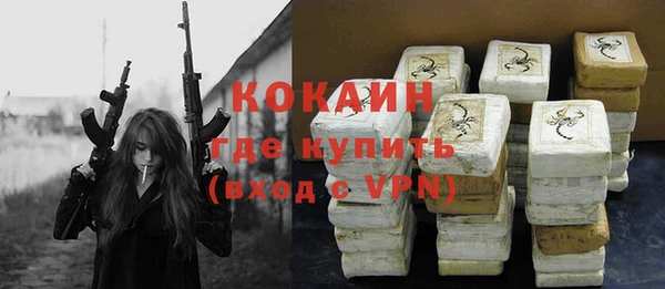 бошки Бронницы