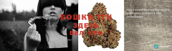бошки Бронницы