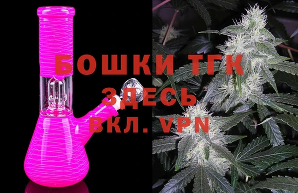 бошки Бронницы